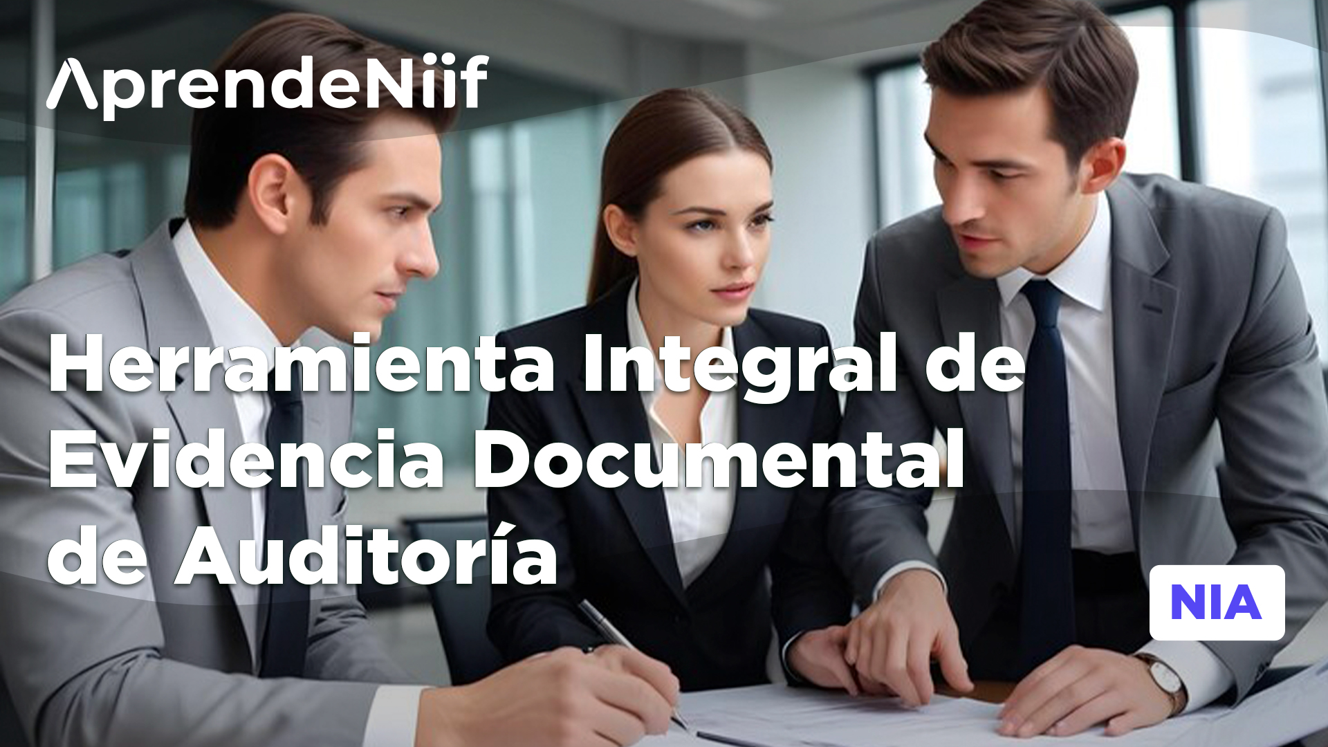 Herramienta Integral de Evidencia Documental de Auditoría